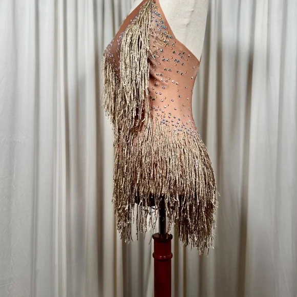 Ballroom Latin Salsa Dress - Picture 2 of 5